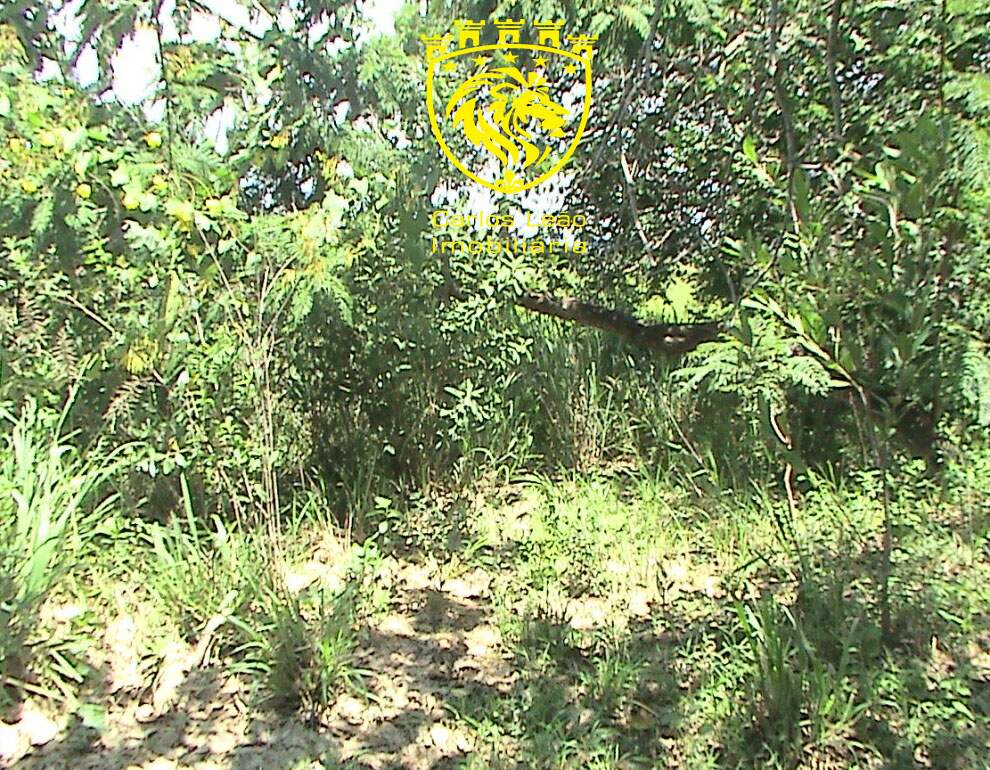 Terreno à venda, 6000m² - Foto 11