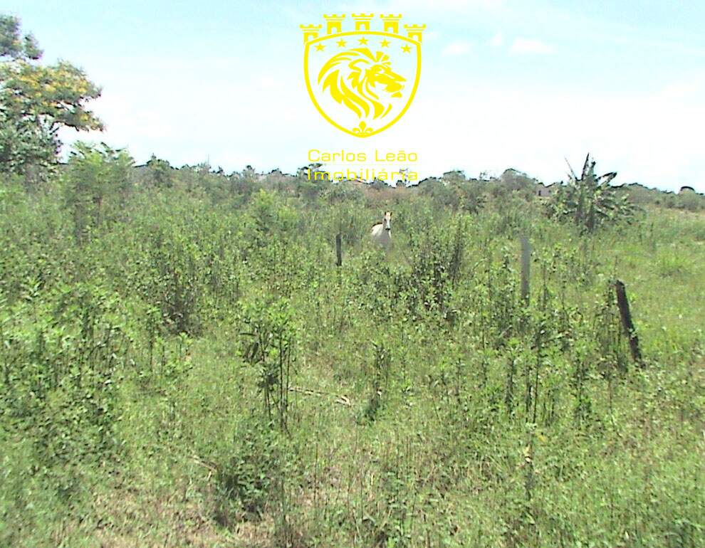 Terreno à venda, 6000m² - Foto 9