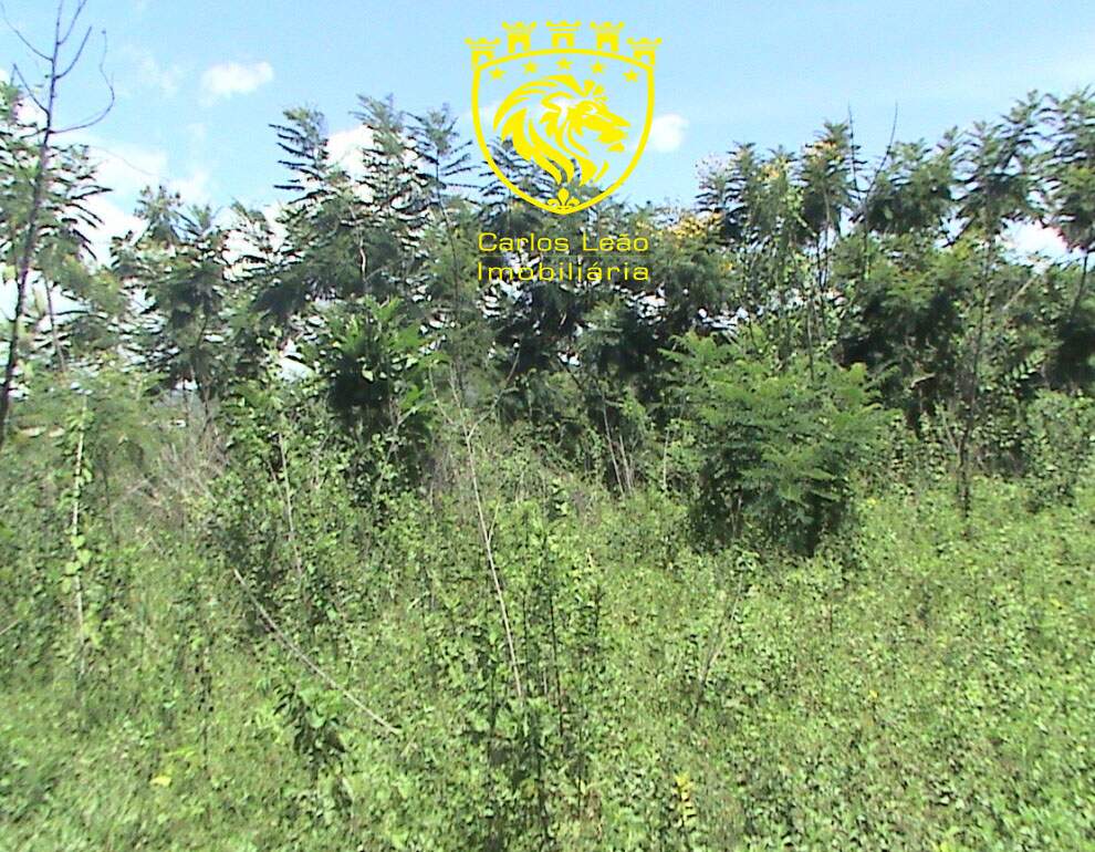 Terreno à venda, 6000m² - Foto 6