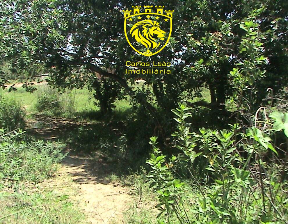 Terreno à venda, 6000m² - Foto 4