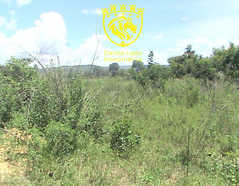 Terreno à venda, 6000m² - Foto 3