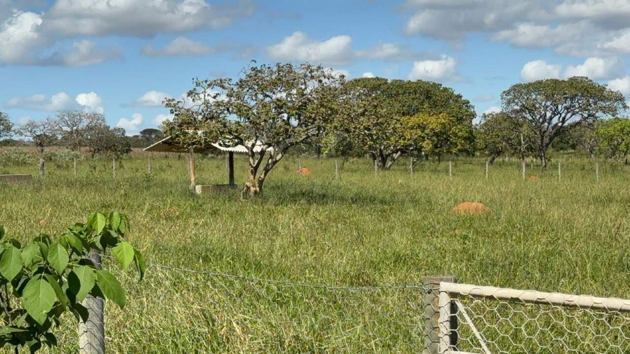Fazenda à venda com 1 quarto, 46000m² - Foto 14