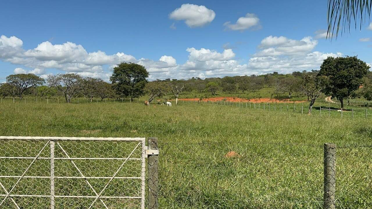 Fazenda à venda com 1 quarto, 46000m² - Foto 9