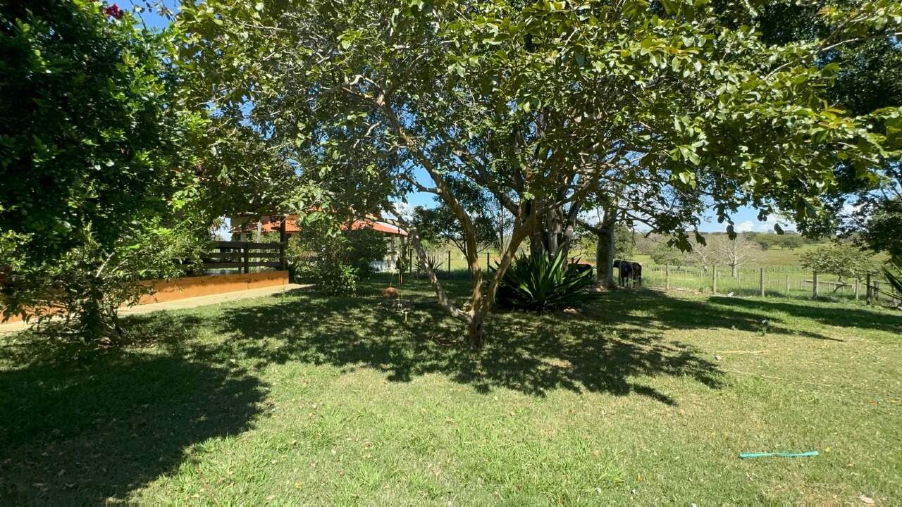 Fazenda à venda com 1 quarto, 46000m² - Foto 4