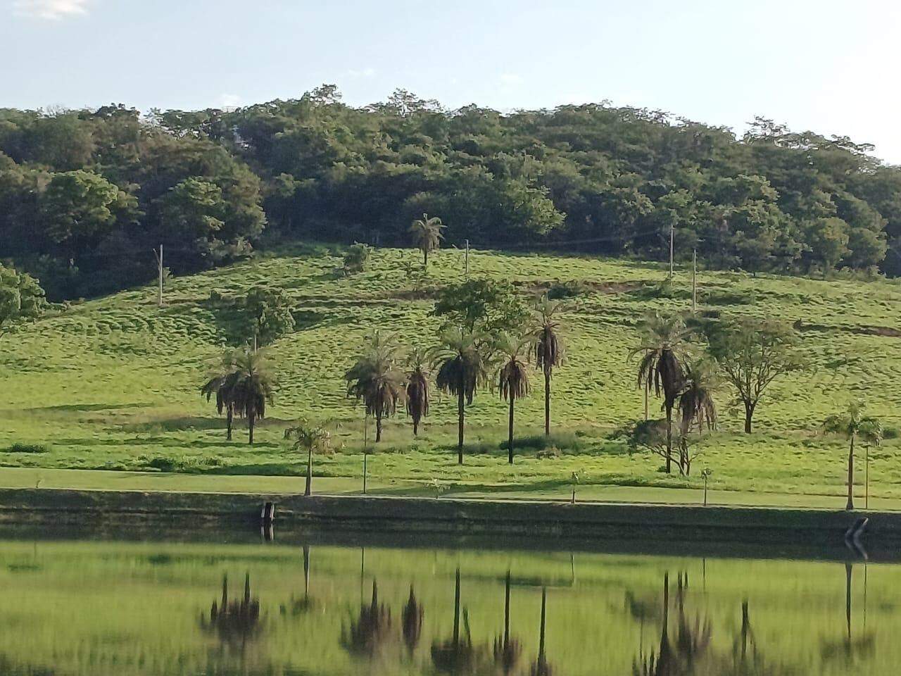 Terreno à venda, 1001m² - Foto 3
