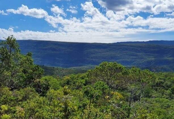Terreno à venda, 61200m² - Foto 12