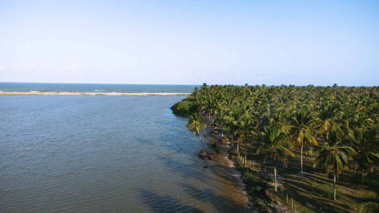 Terreno, 1001 m² - Foto 6