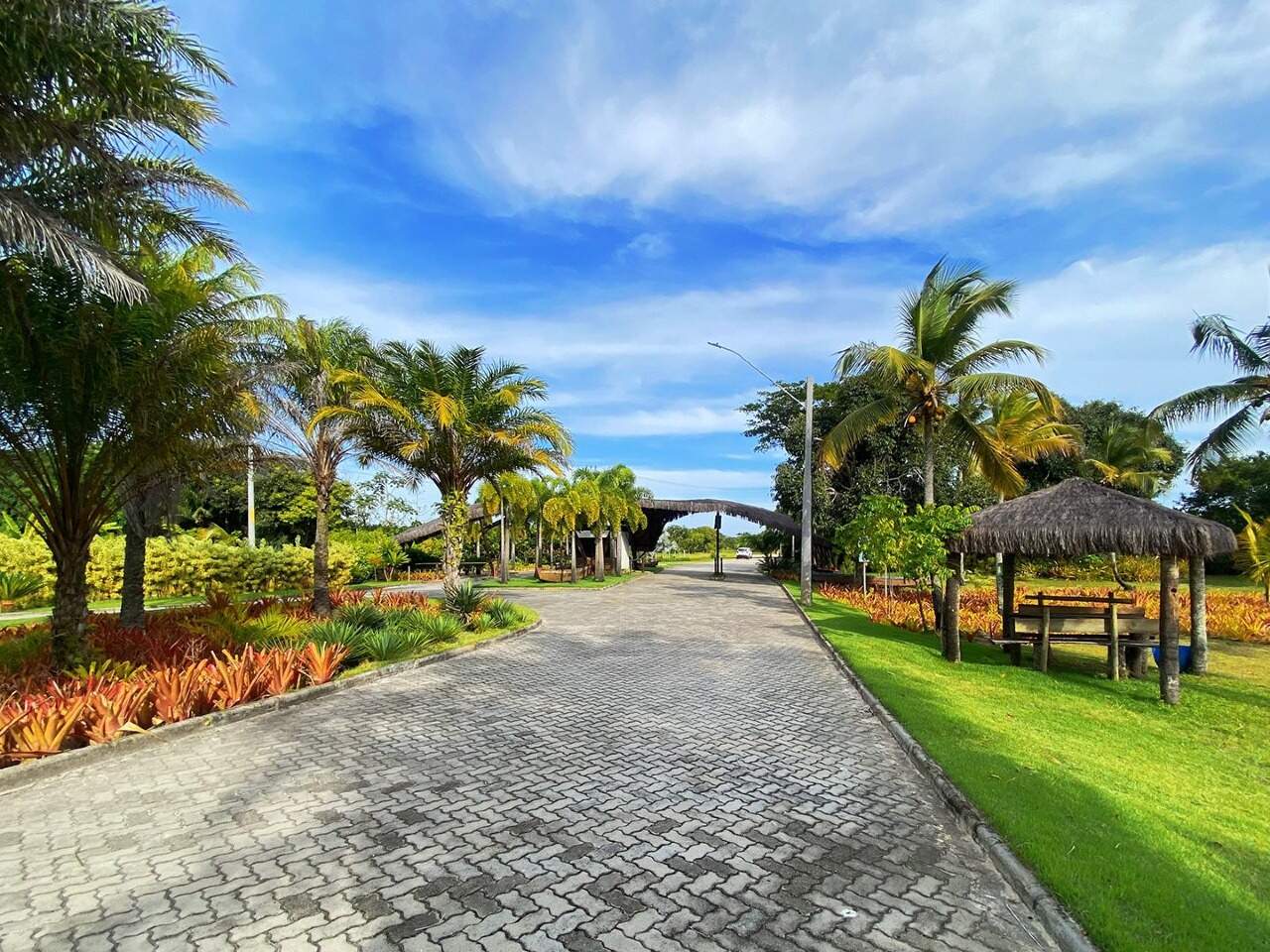 Terreno, 609 m² - Foto 5