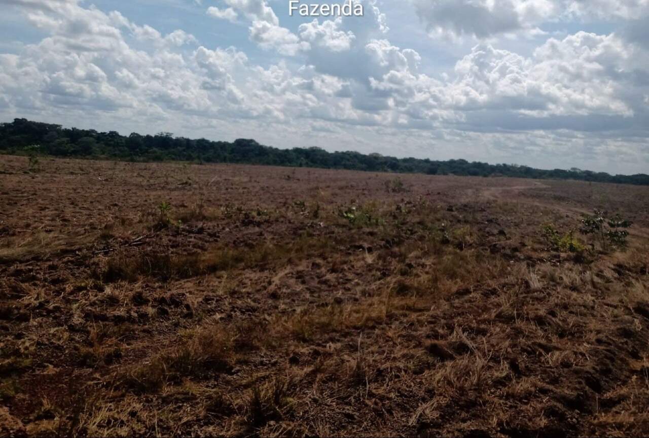 Fazenda, 1 quarto - Foto 8