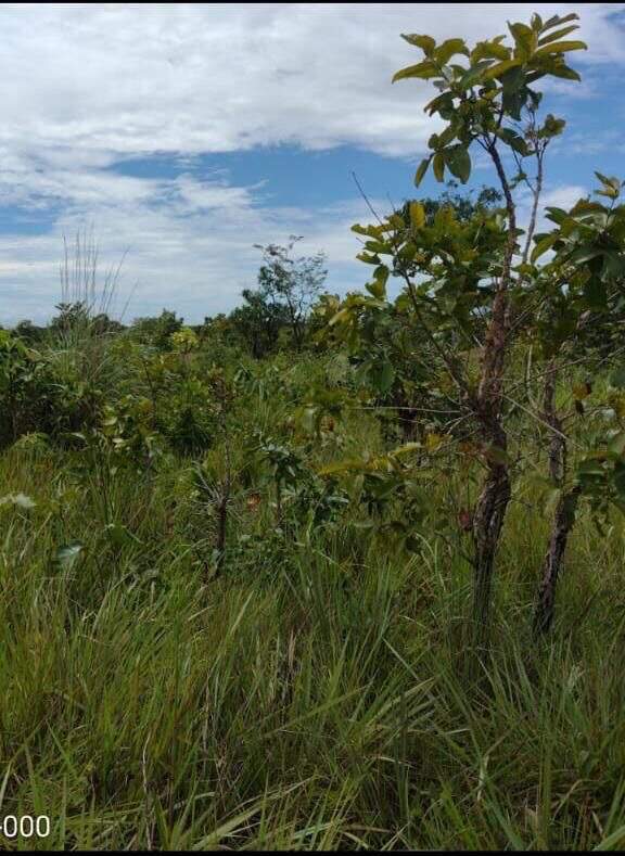 Fazenda, 1 quarto - Foto 5