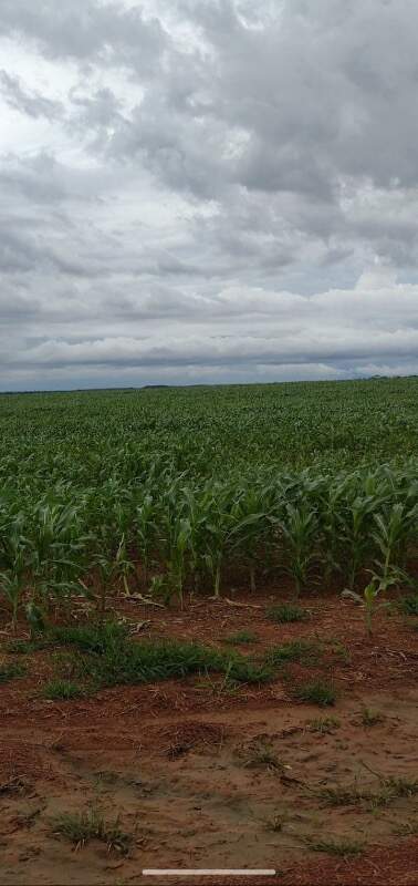 Fazenda, 1 quarto - Foto 10