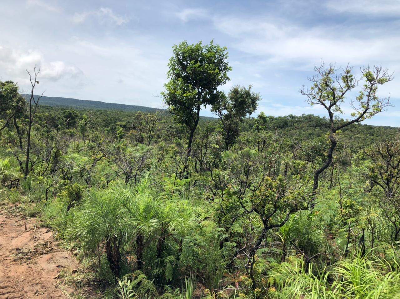 Fazenda, 1 quarto - Foto 11