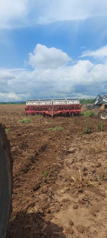 Fazenda, 1 quarto - Foto 13