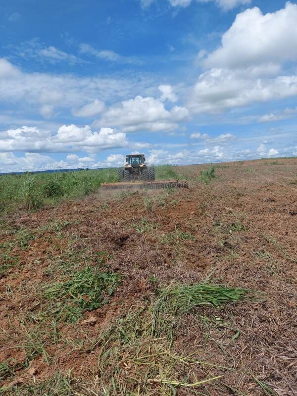Fazenda, 1 quarto - Foto 4