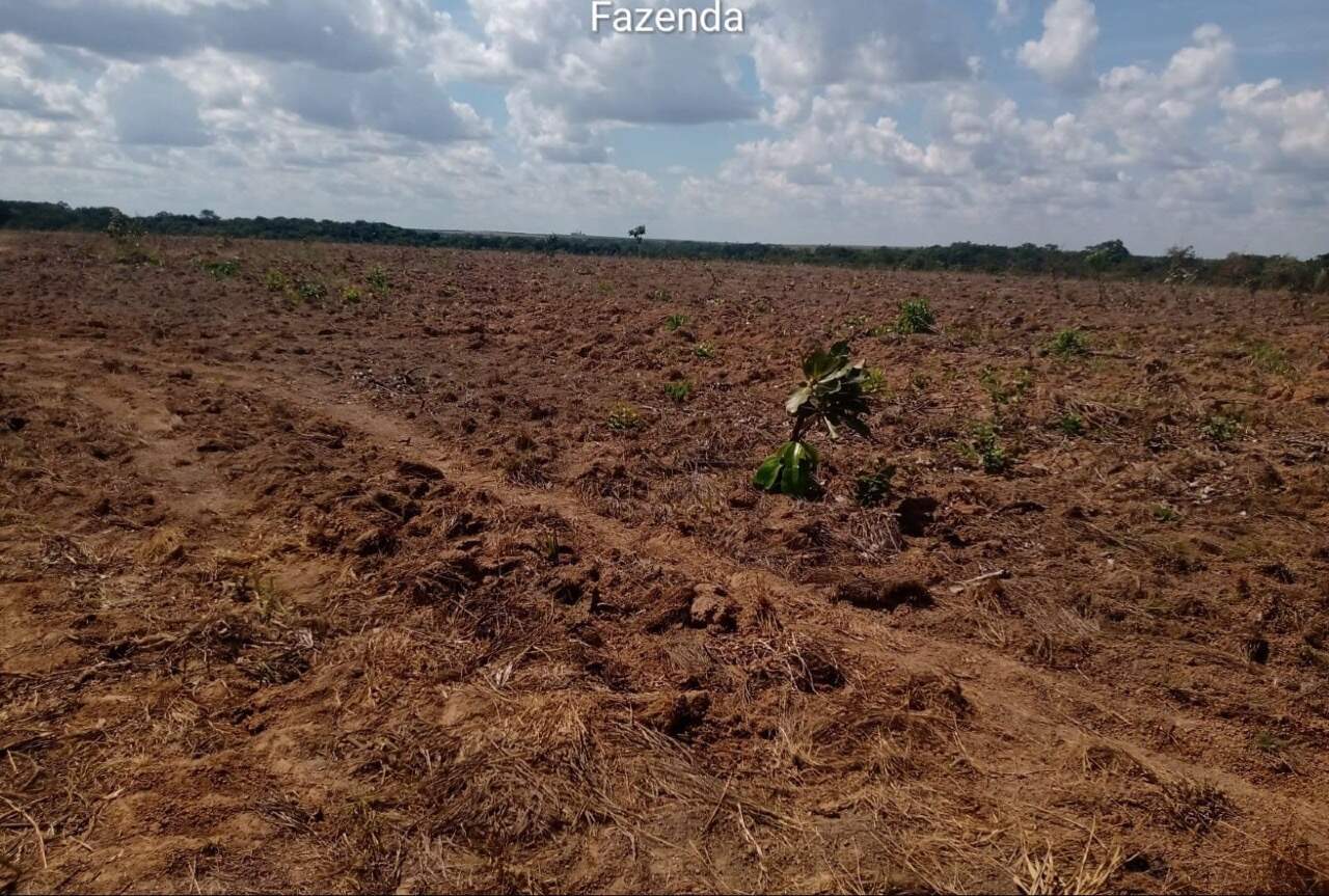 Fazenda, 1 quarto - Foto 9