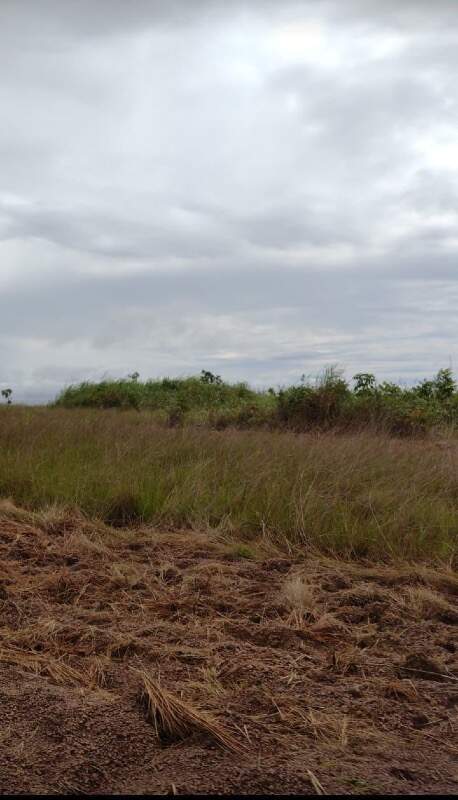 Fazenda, 1 quarto - Foto 6