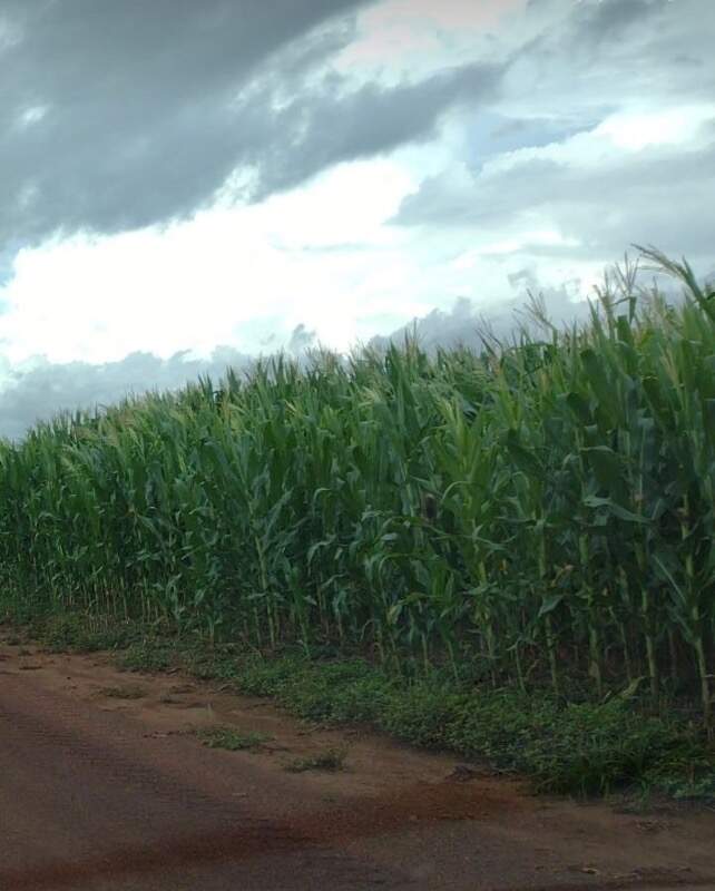 Fazenda, 1 quarto - Foto 2
