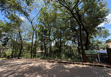 Terreno, 1370 m² - Foto 4