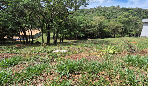 Terreno, 1000 m² - Foto 2