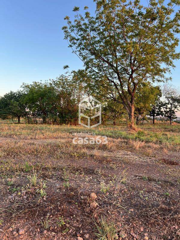 Foto 3 — LOTE - ARSE 125 A