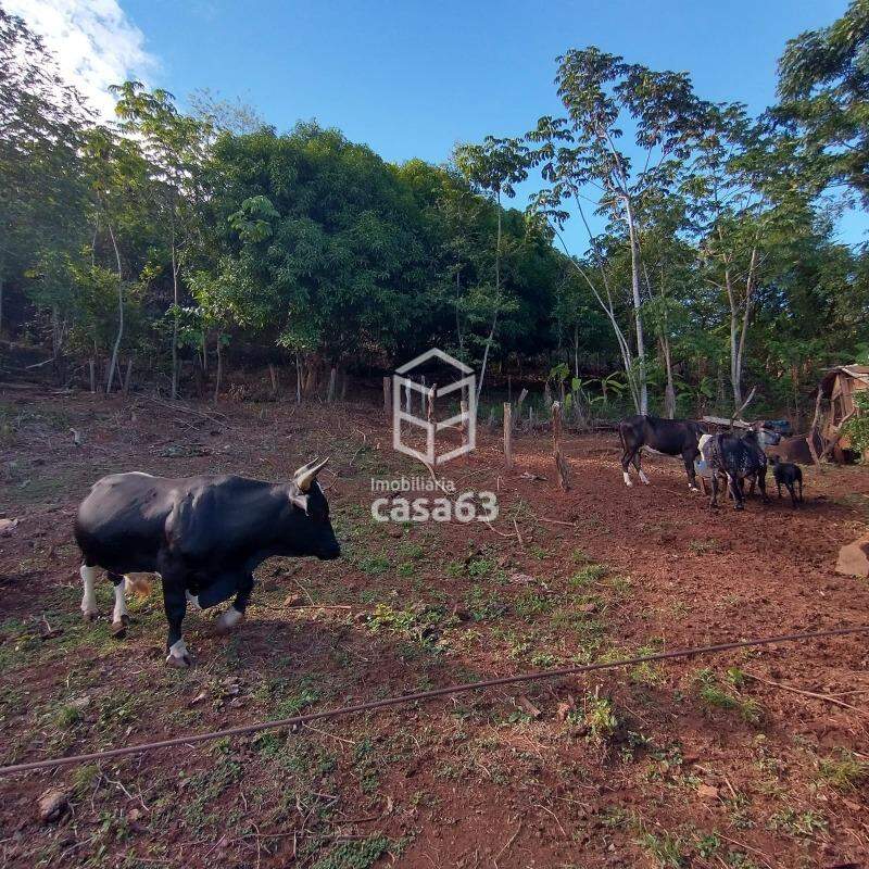 Chácara em Palmas/Lajeado · Palmas