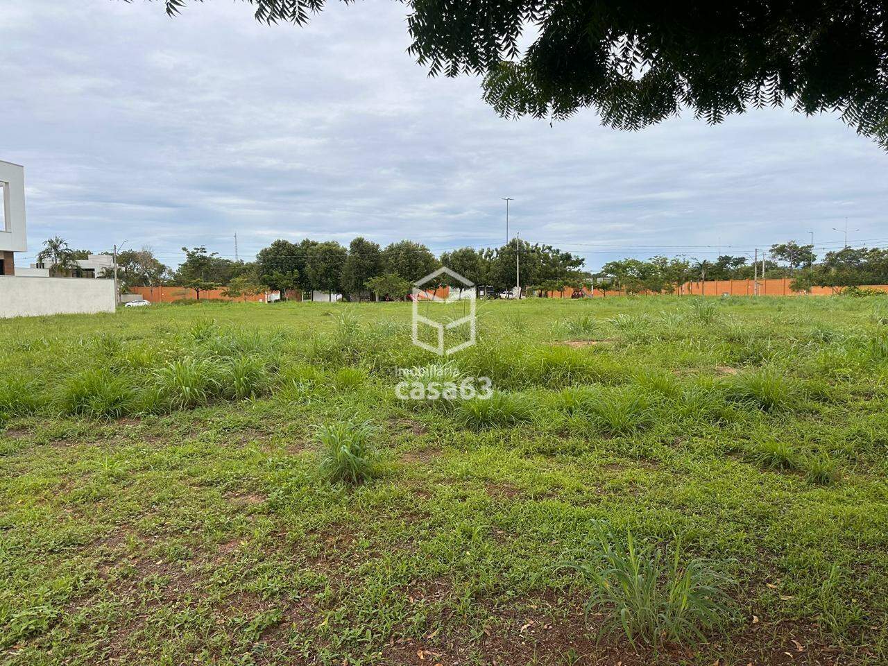 Foto 2 — Lote - Alphaville 1