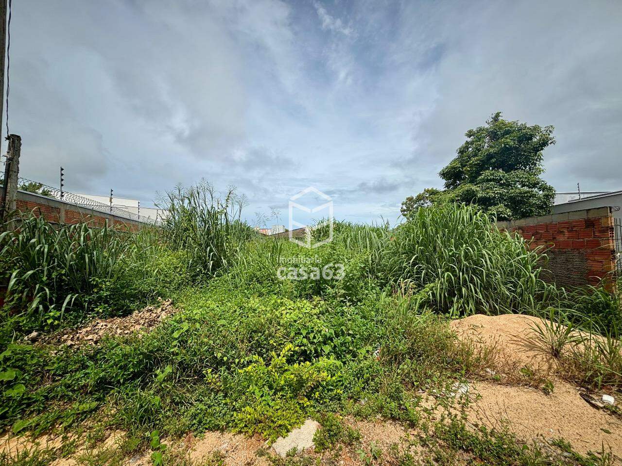 Foto 3 — Lote - 407 Sul ( Arso 43)
