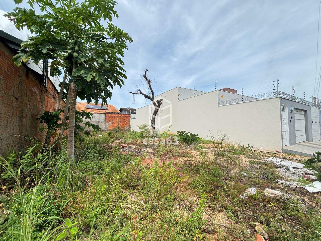 Foto 2 — Lote à venda, Plano Diretor Norte - Palmas/TO