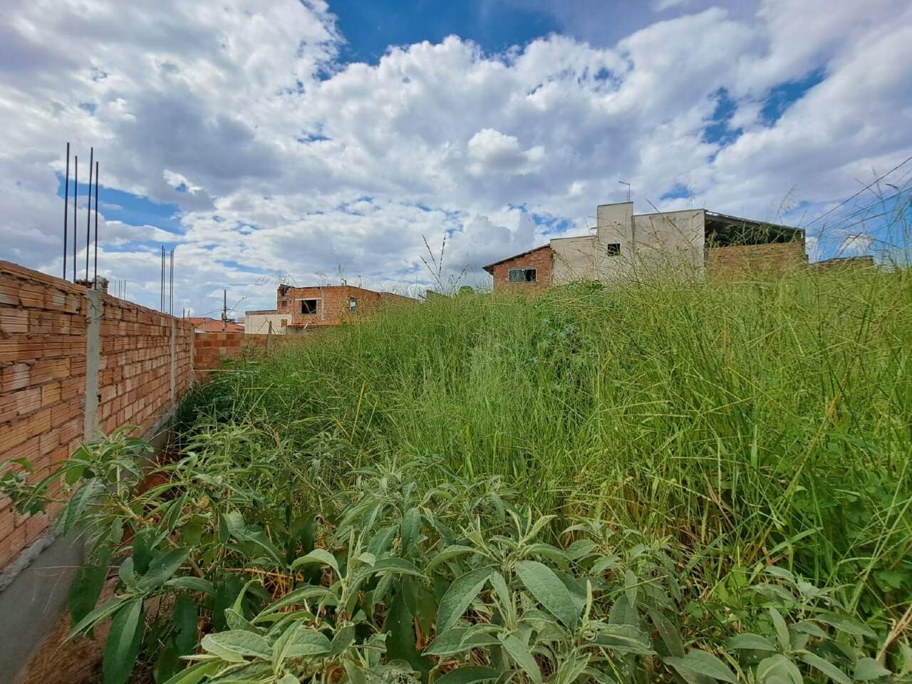 Capa