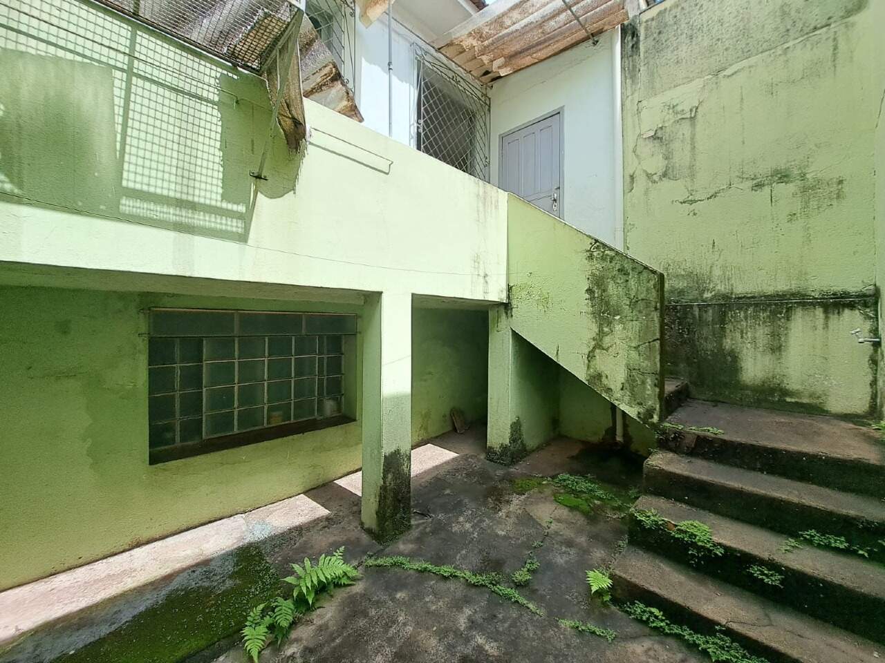 Capa