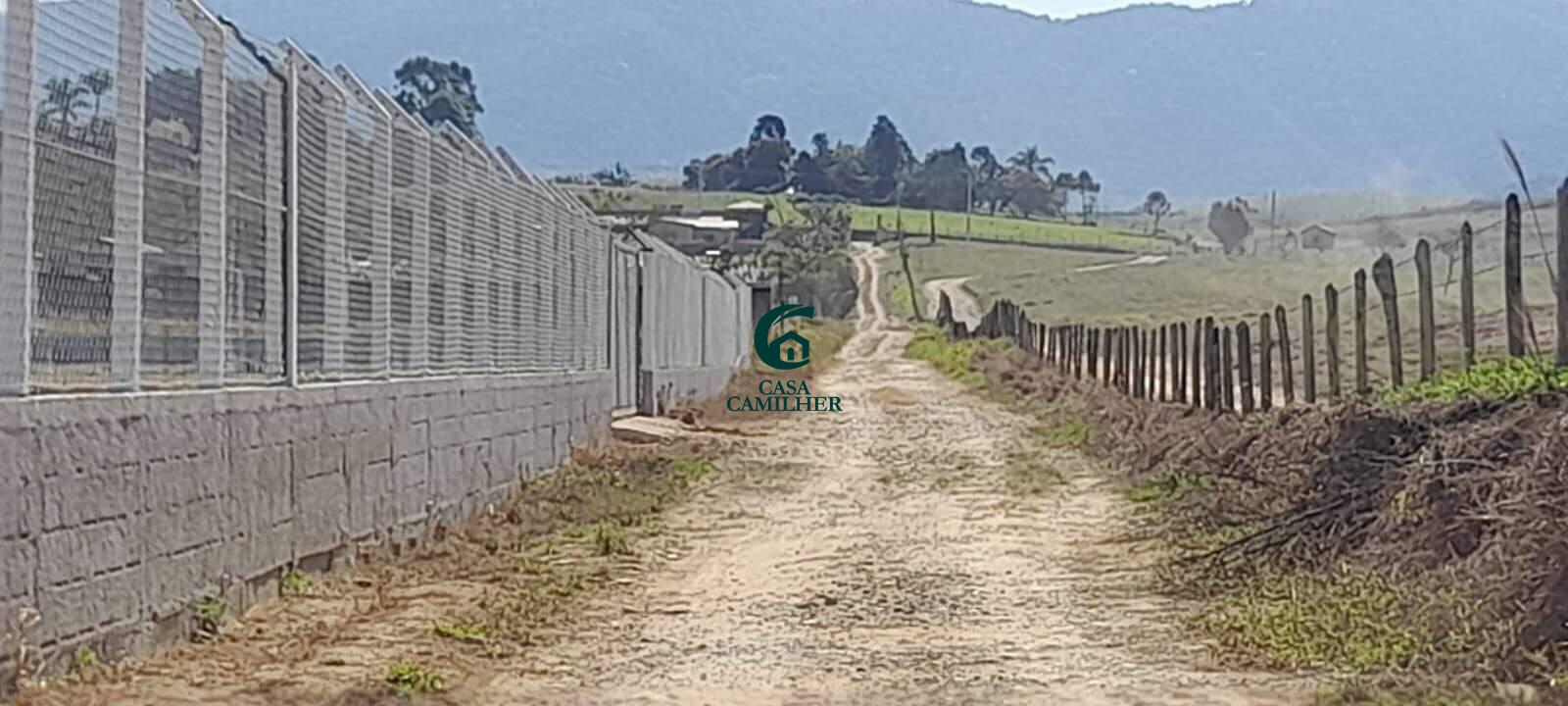 Terreno/Lote à venda no Pinheirinho: 