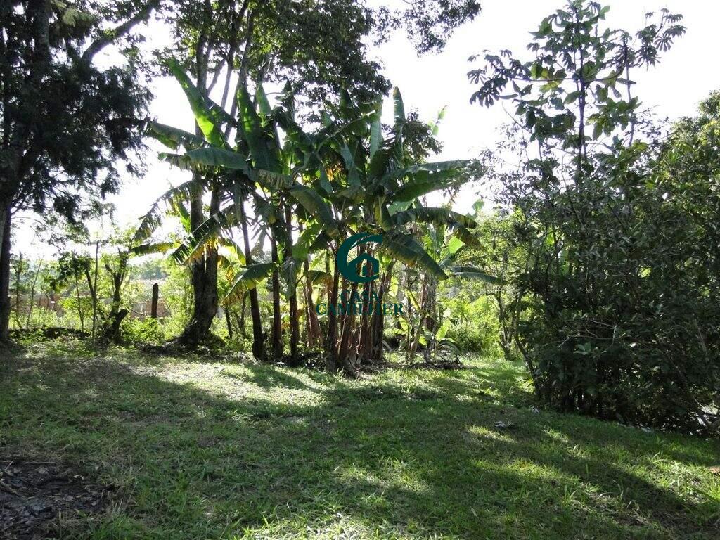 Chácara à venda no Barreiro: 