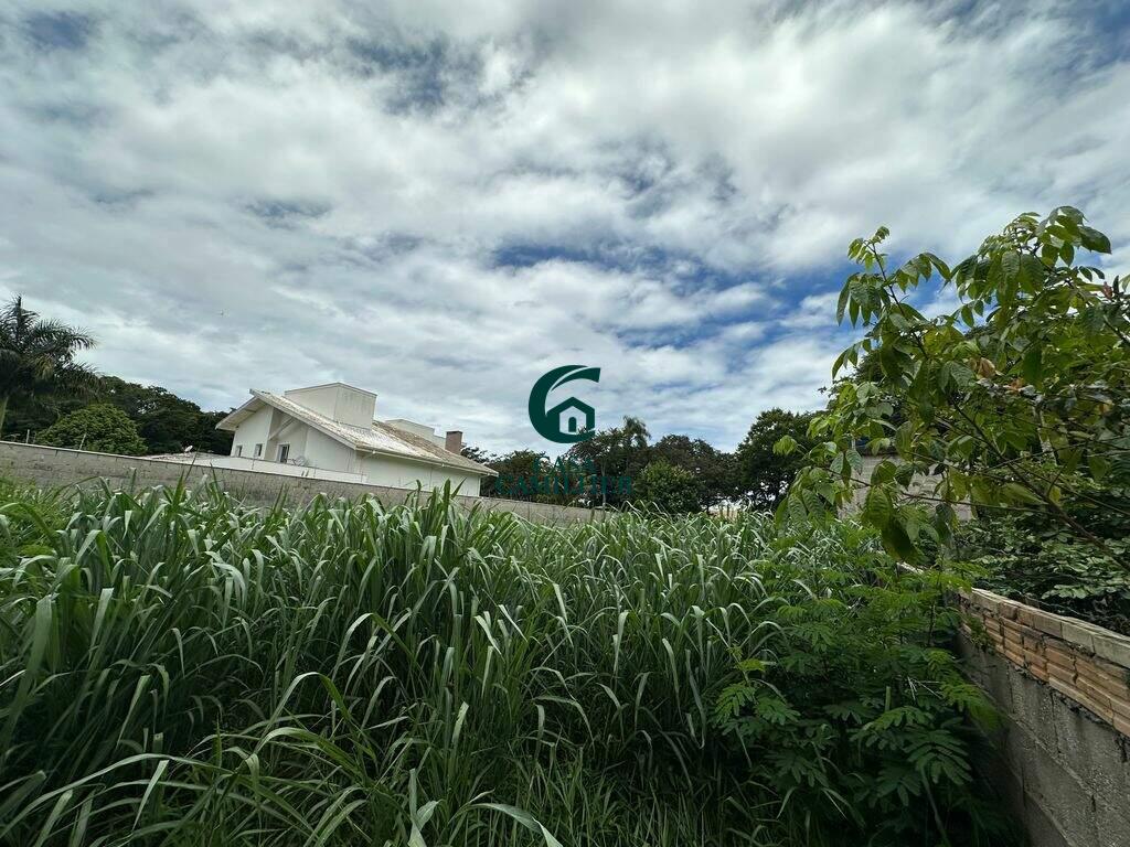 Terreno/Lote à venda no Pinhão: 