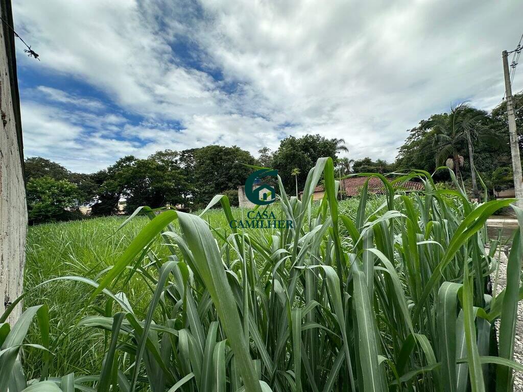 Terreno/Lote à venda no Pinhão: 