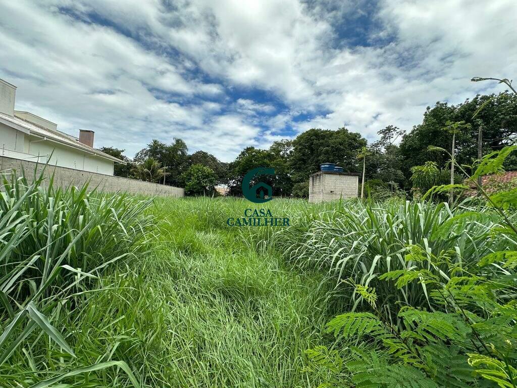 Terreno/Lote à venda no Pinhão: 