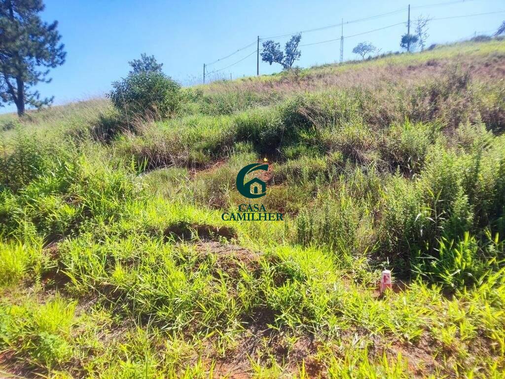 Terreno/Lote à venda no Jardim Julieta: 