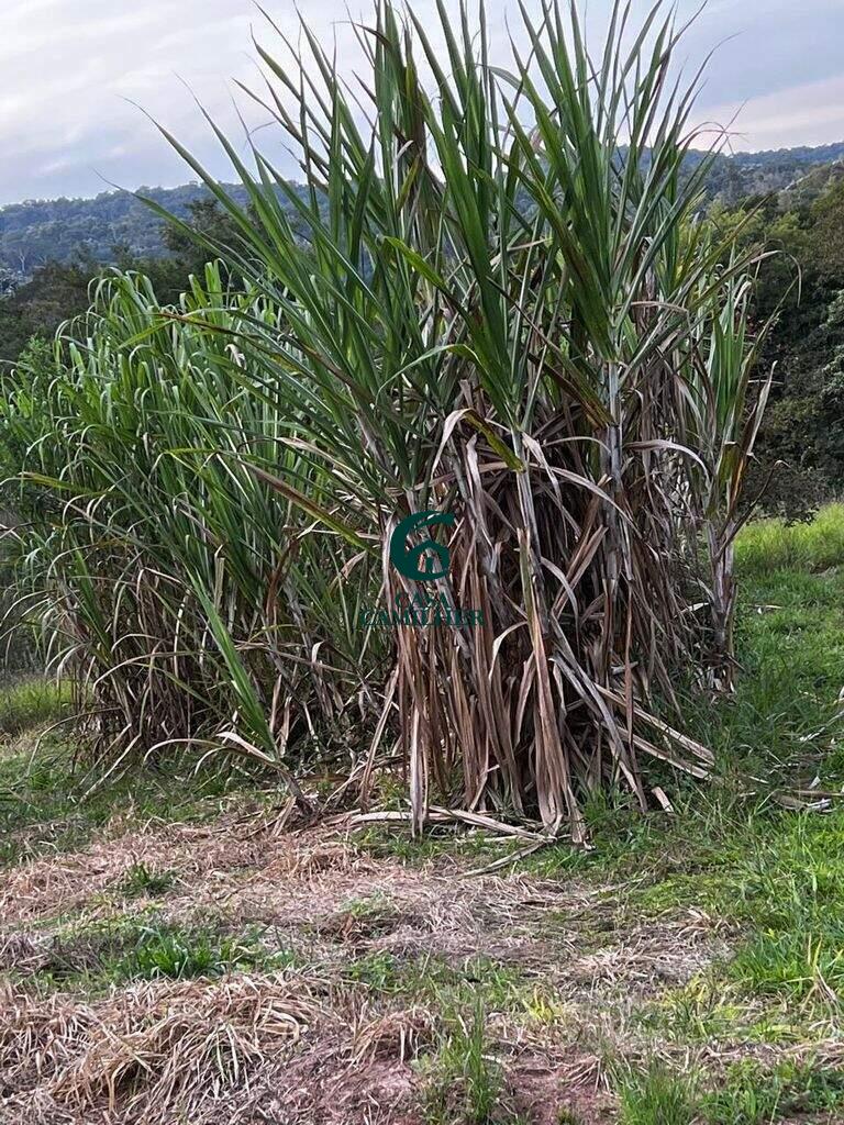 Chácara à venda no Centro: 