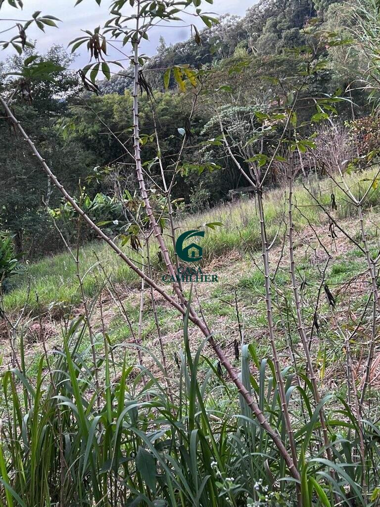 Chácara à venda no Centro: 