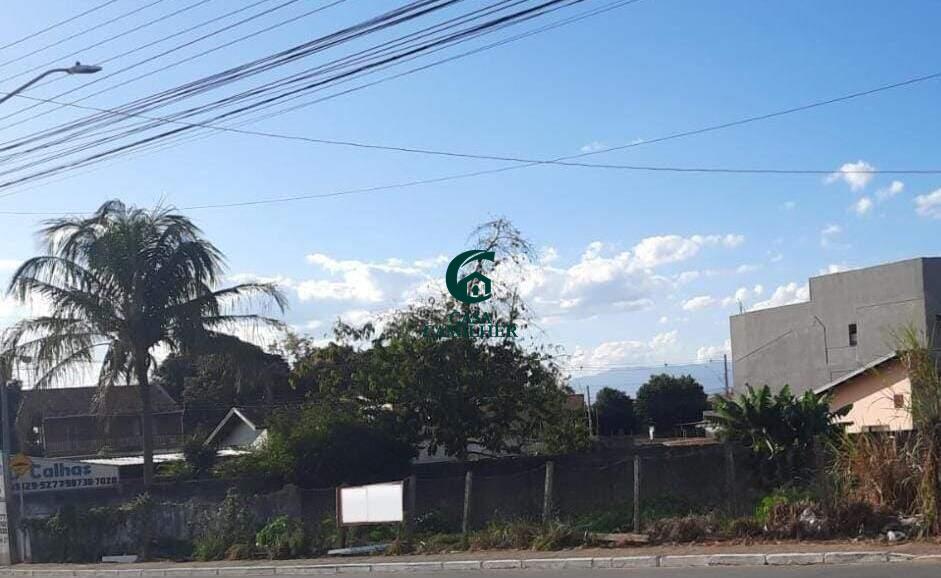 Terreno/Lote para aluguel no Independência: 