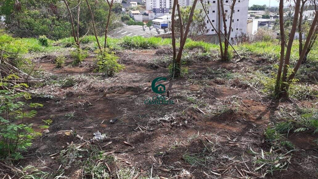 Terreno/Lote para aluguel no Jardim Paulista: 