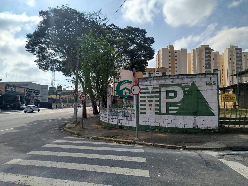 Terreno/Lote para aluguel no Vila Jaboticabeira: 