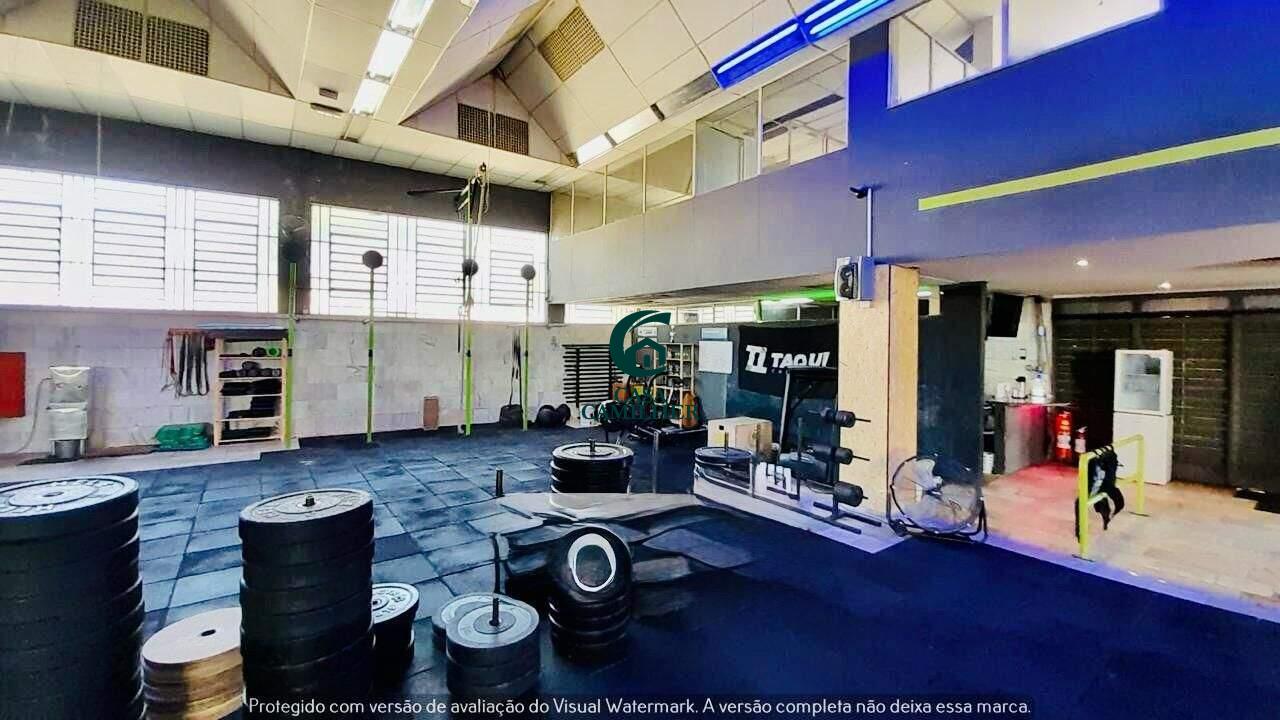 Galpão para aluguel no Jardim Maria Augusta: 