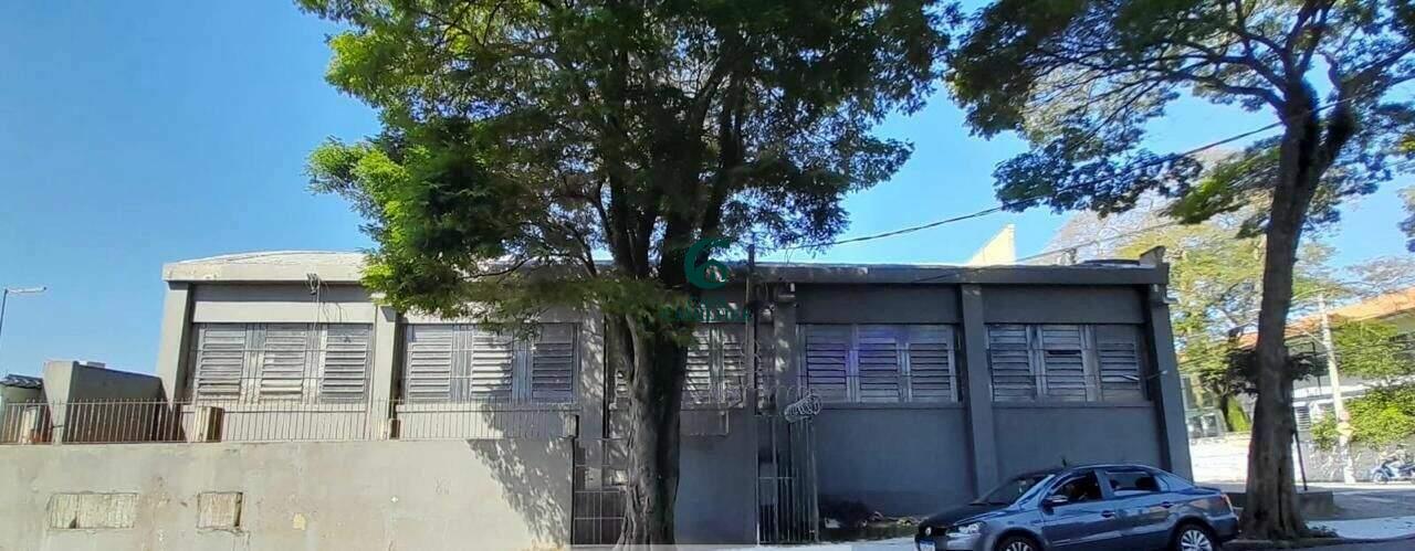 Galpão para aluguel no Jardim Maria Augusta: 