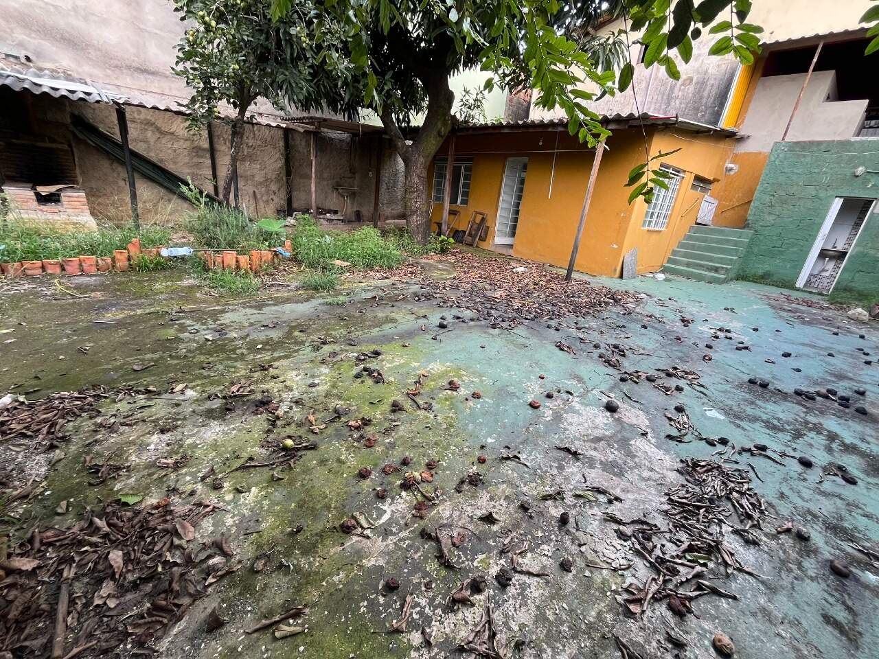 Casa para aluguel no Teixeira Dias: Casa à venda - Barreiro, 3 quartos - Belo Horizonte
