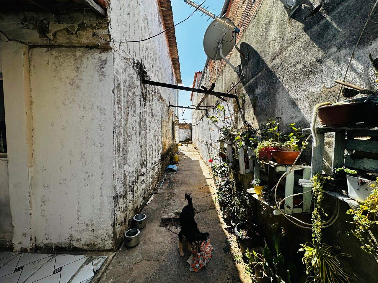 Casa à venda no Ernesto do Nascimento: Casa à venda - Ernesto do Nascimento, 5 quartos - Belo Horizonte