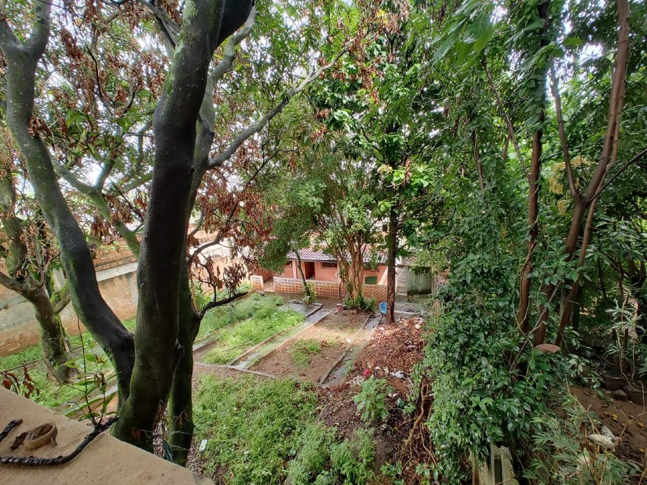 Casa à venda no Santa Cecília: Casa à venda - Santa Cecília, 2 quartos - Belo Horizonte