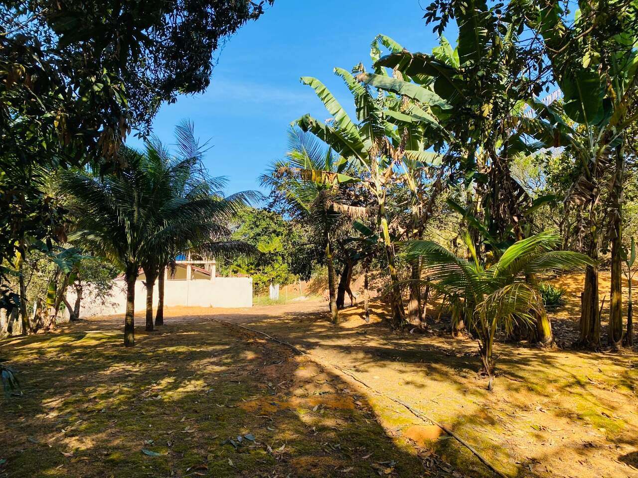 Chácara à venda no Comunidade Urbana de Iguape: Chácara em Iguapae à venda, Guarapari Es.