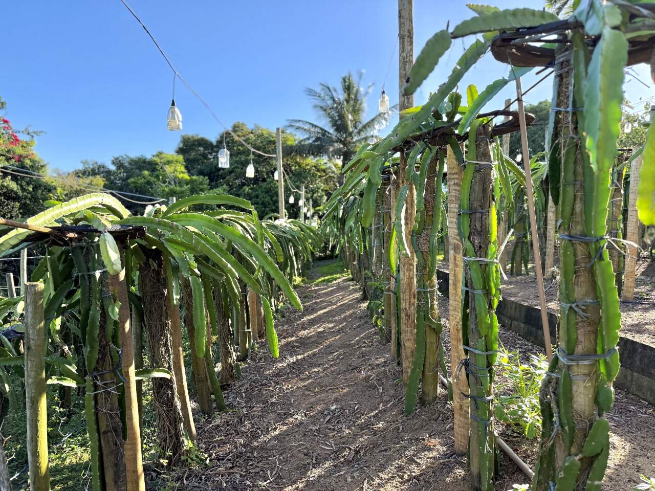 Casa à venda no MEAÍPE: Chácara à venda em Meaipe, Guarapari Es.