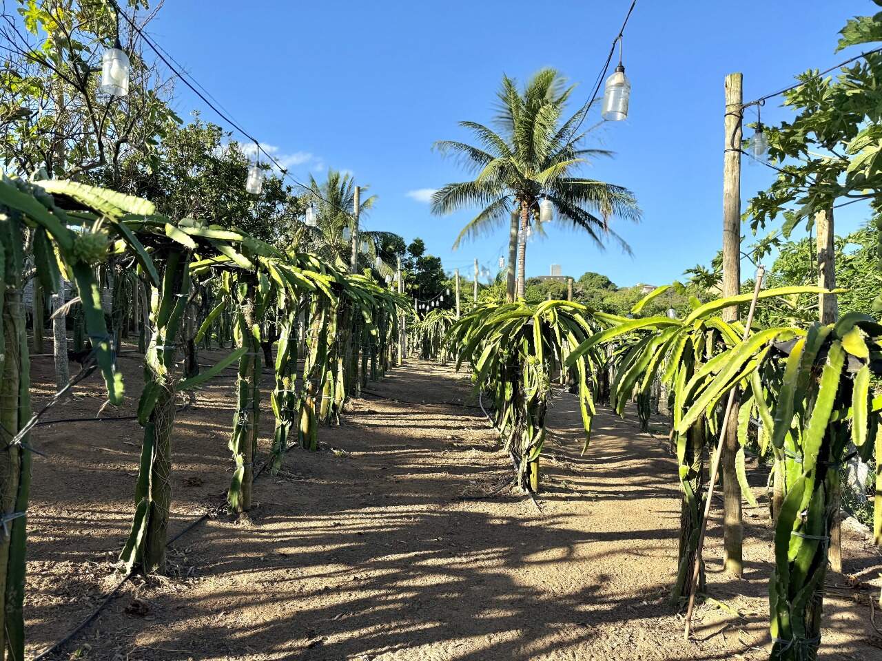 Casa à venda no MEAÍPE: Chácara à venda em Meaipe, Guarapari Es.