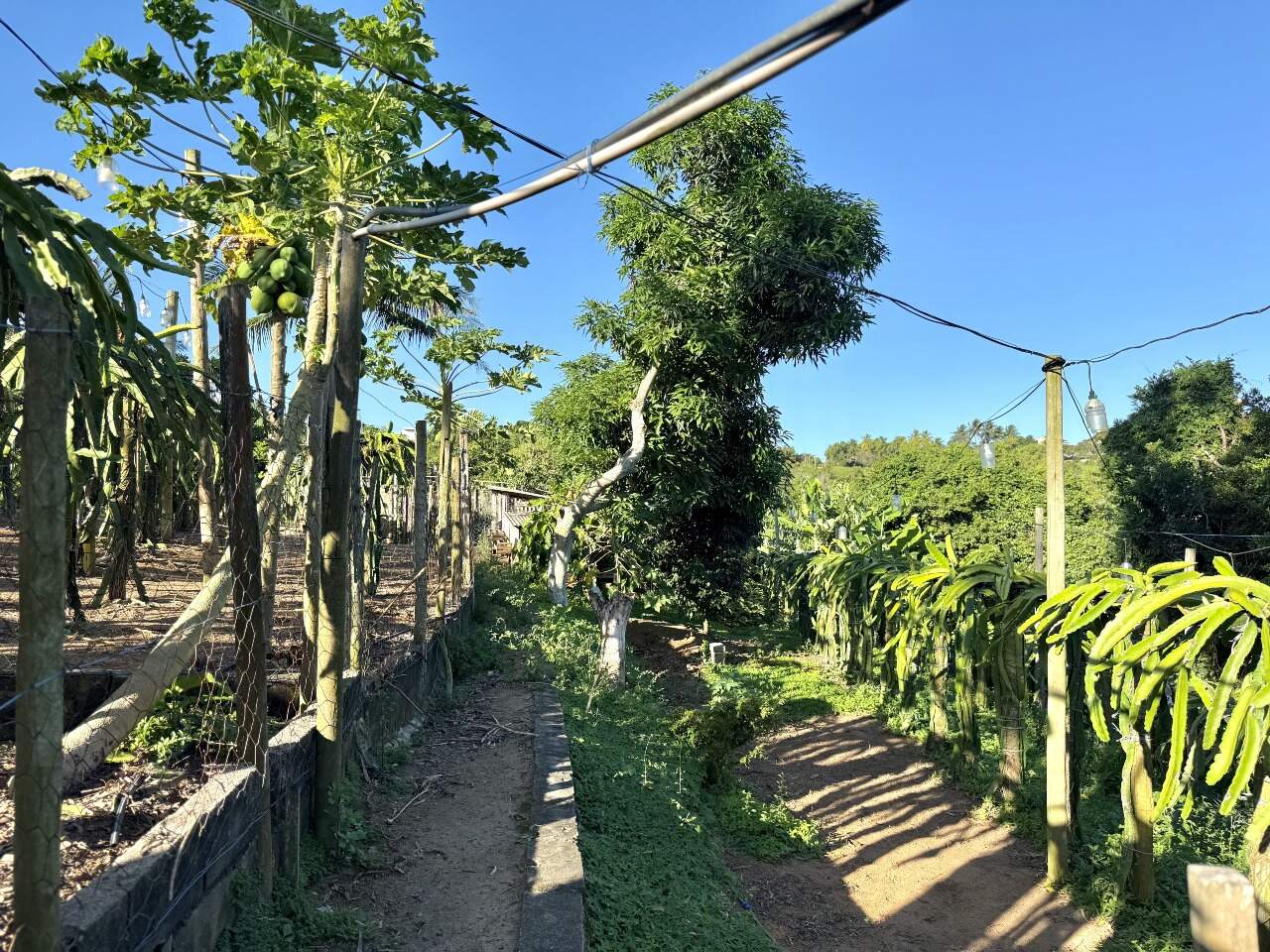Casa à venda no MEAÍPE: Chácara à venda em Meaipe, Guarapari Es.